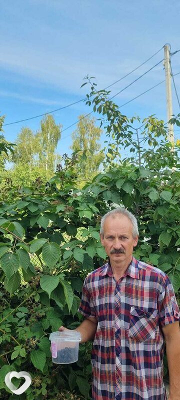 Игорь, 63, Волоколамске — анкета №738008