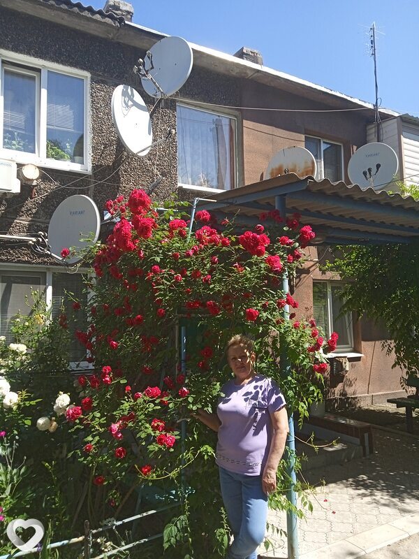 Ирина, 63, Донецк (Ростовская Обл.) — анкета №741432
