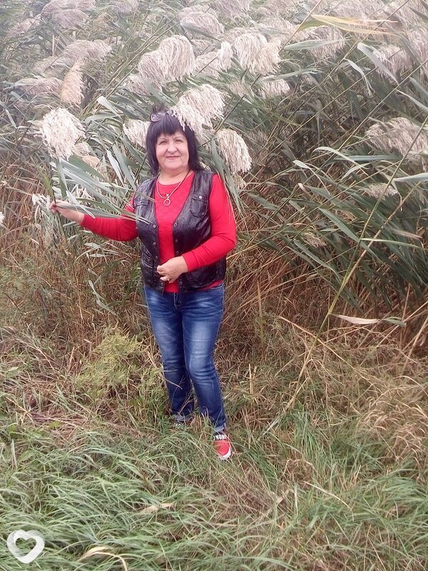 Надежда, 64, Ростове-на-Дону — анкета №743245