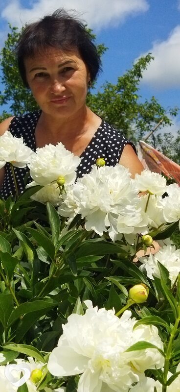 Нина, 64, Калининграде — анкета №747595