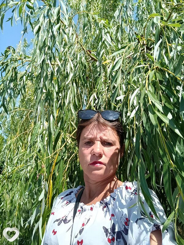 Lilia, Сороки