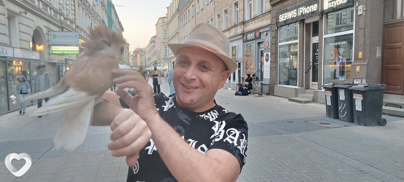 Vitaha, Чадыр-Лунга