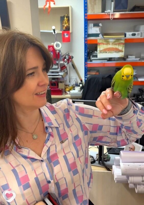 Маша, 49, Иванове — анкета №753526