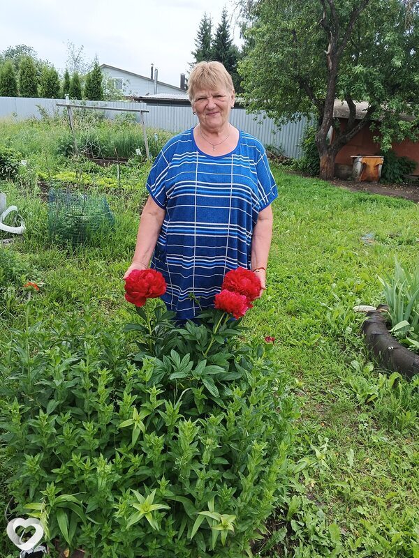 Nadegda, Плавск
