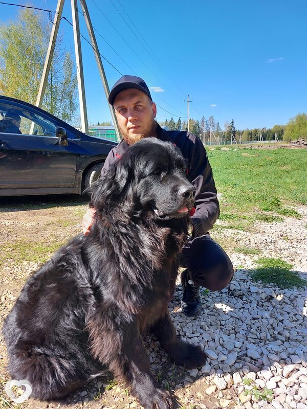 Дмитрий, 37, Москве — анкета №754266