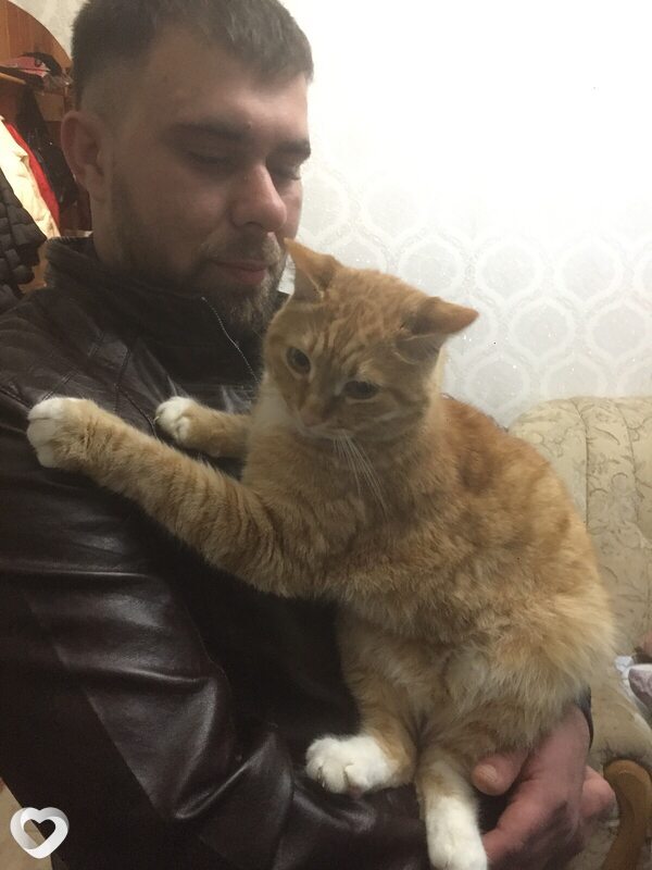Алексей, 33, Донецк (Ростовская Обл.) — анкета №765084