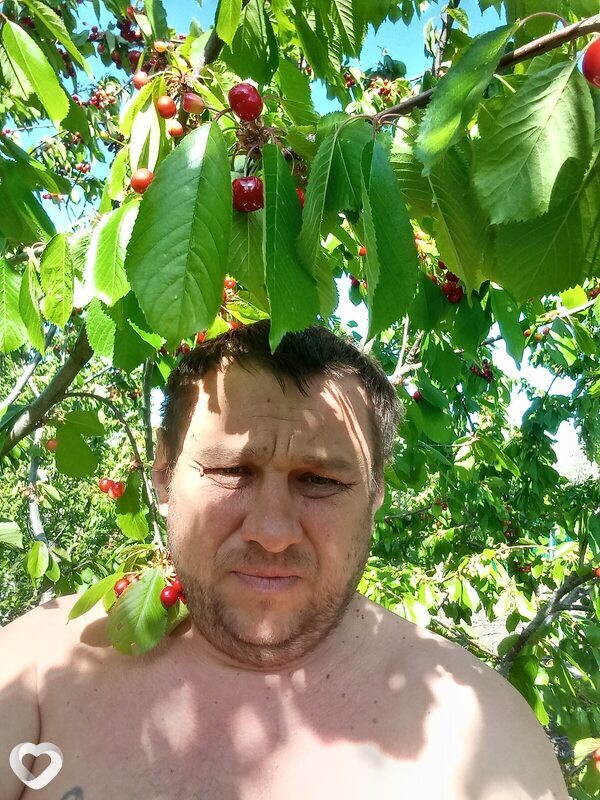 Серый, 41, Ростове-на-Дону — анкета №765057