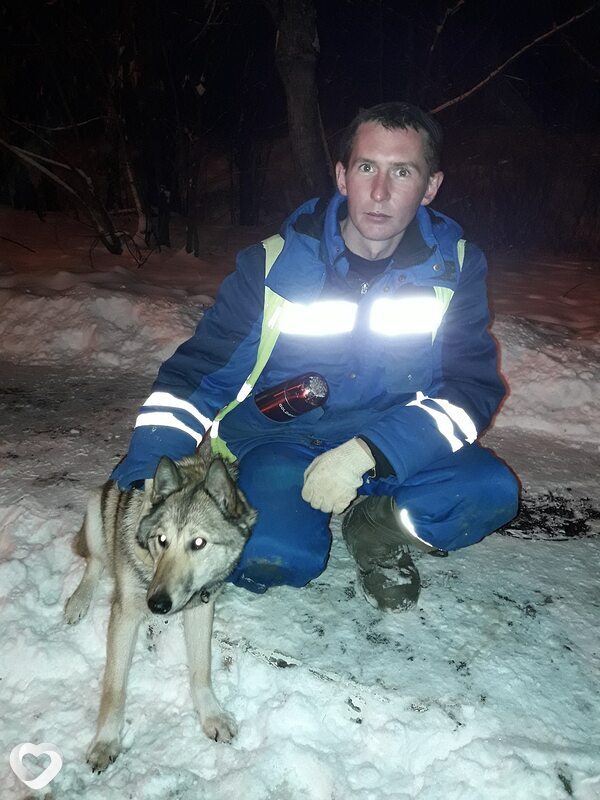 Владимир, 38, Омске — анкета №770086