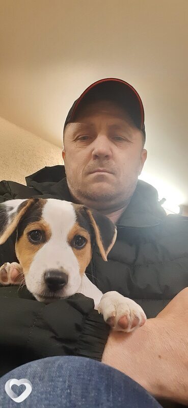 Roman, Ипатово