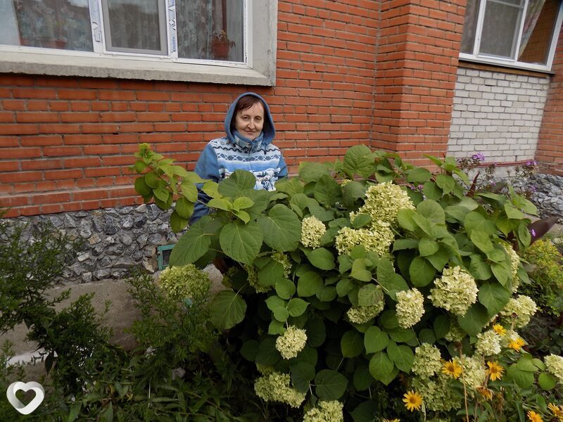 Валентина, 65, Новосибирске — анкета №770503