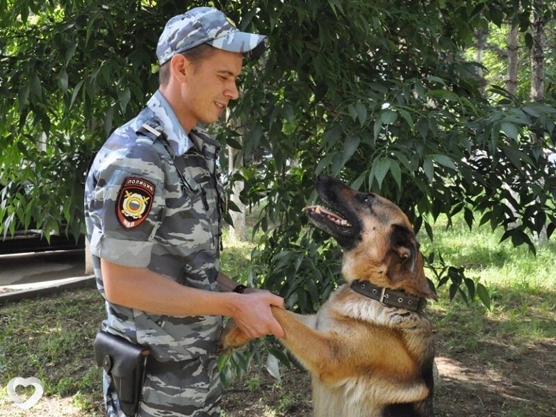 Алексей, 32, Самаре — анкета №771233