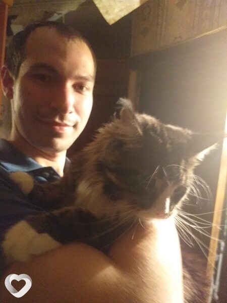 Дмитрий, 35, Йошкар-Оле — анкета №772522