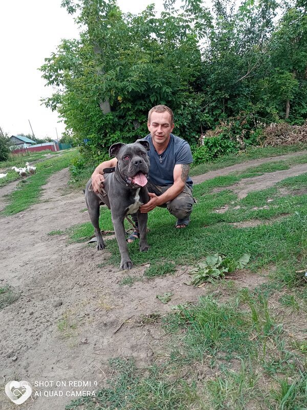 Александр, 39, Москве — анкета №772640