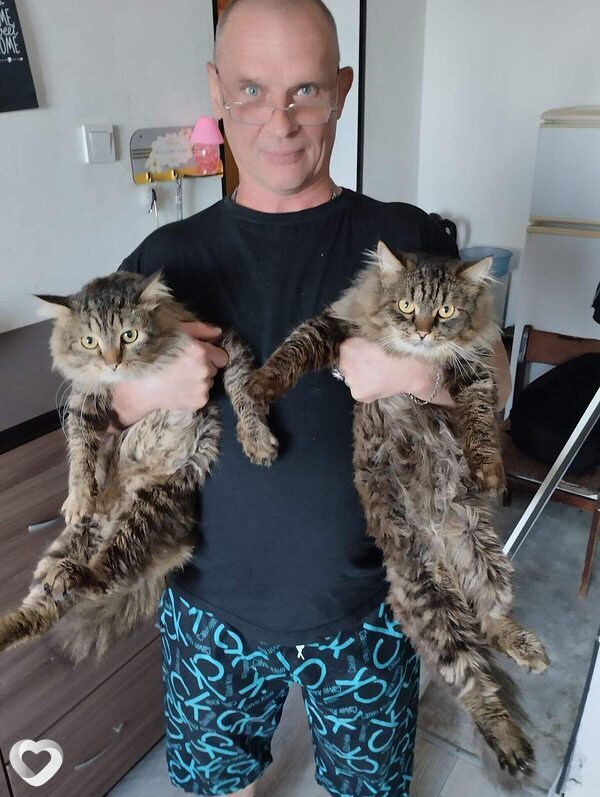 Оружейный Барон, 57, Хабаровске — анкета №773221