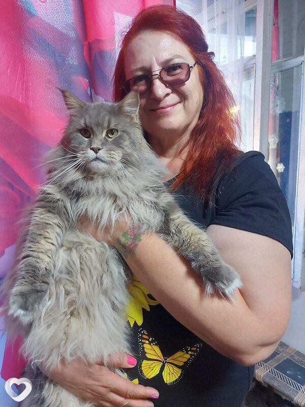 Дарина, 53, Кемерове — анкета №775029