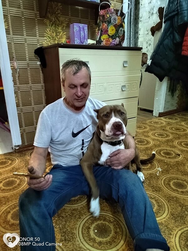 Сергей, 62, Жуковском — анкета №775251