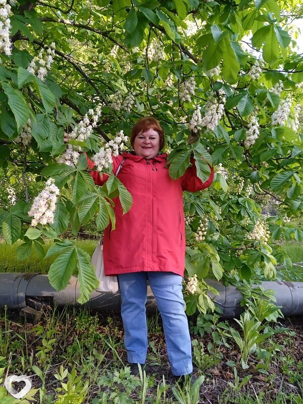 Анна, 44, Нижнем Новгороде — анкета №780932