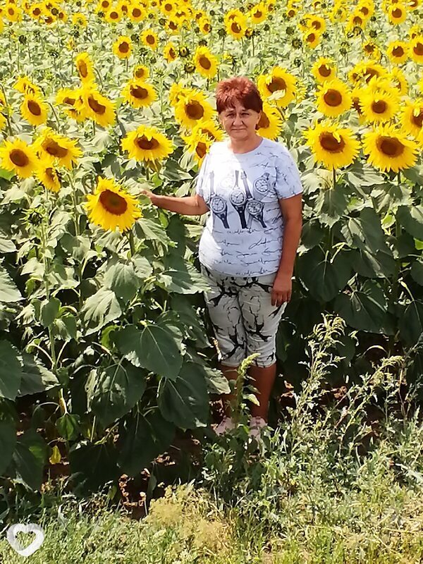 Елена, 59, Волгограде — анкета №780854