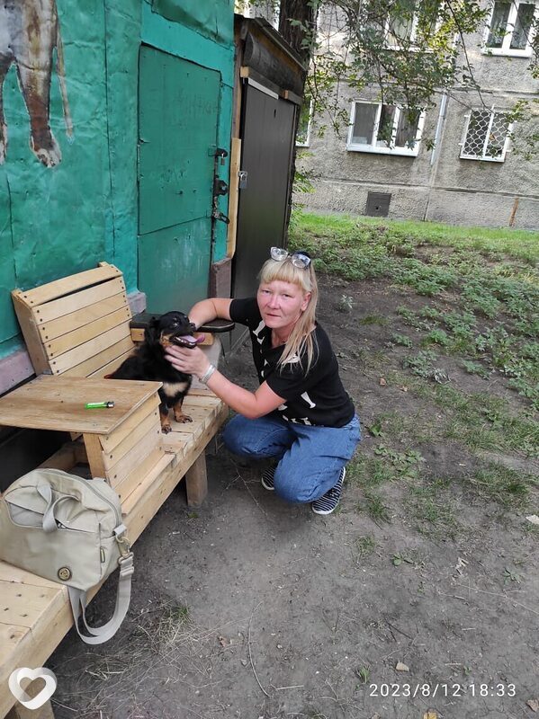 Наталья, 50, Красноярске — анкета №781145
