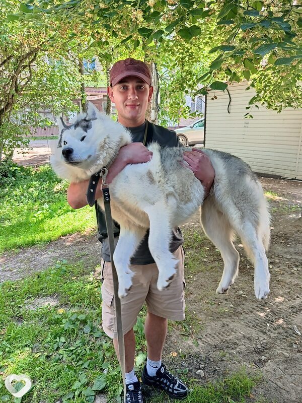 Илья, 33, Лакинске — анкета №784124