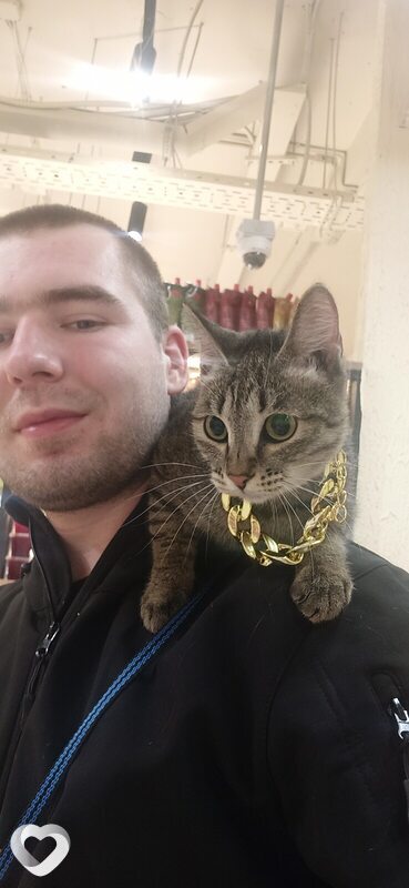 Дмитрий, 32, Липецке — анкета №785054