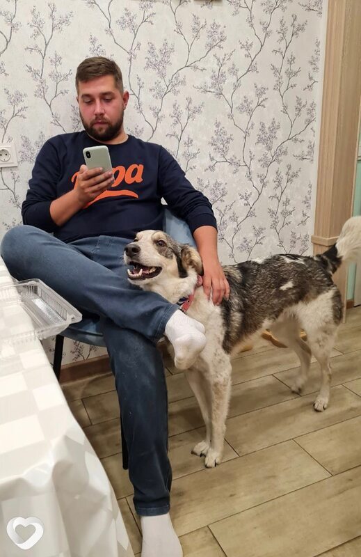 Константин, 34, Туле — анкета №794487