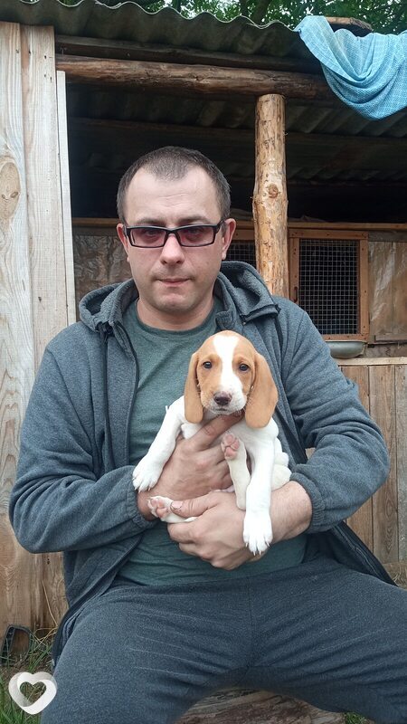 Дмитрий, 39, Барановичах — анкета №795147