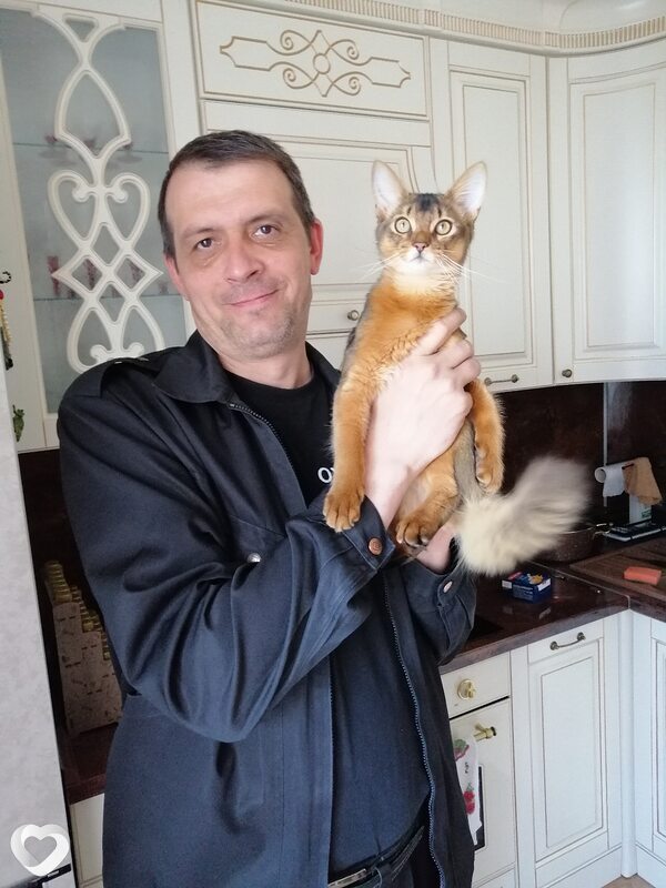 Дмитрий, 49, Электростали — анкета №795506