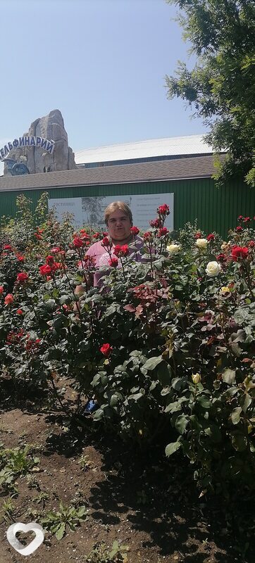 Екатерина, 44, Соколе — анкета №795697