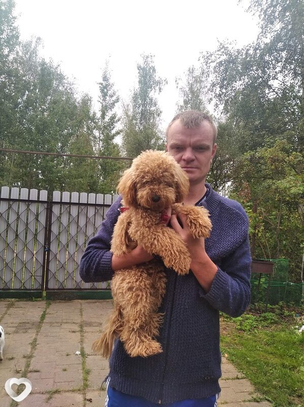 Андрей, 40, Москве — анкета №798304
