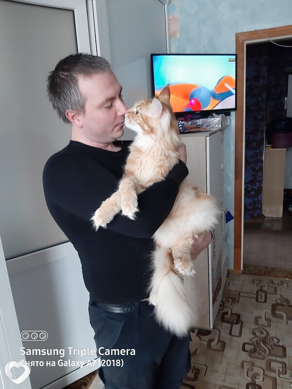 Денис, 37, Донецк (Ростовская Обл.) — анкета №799170