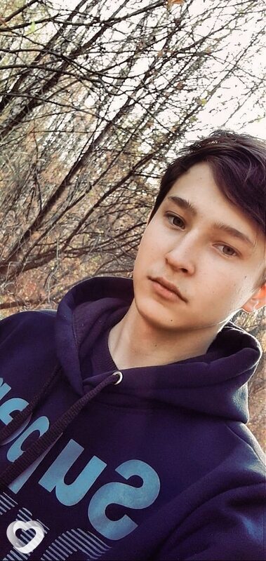 Анатолий, Вад