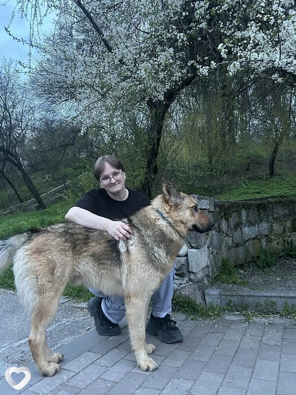 Карина, 29, Люберцах — анкета №803753