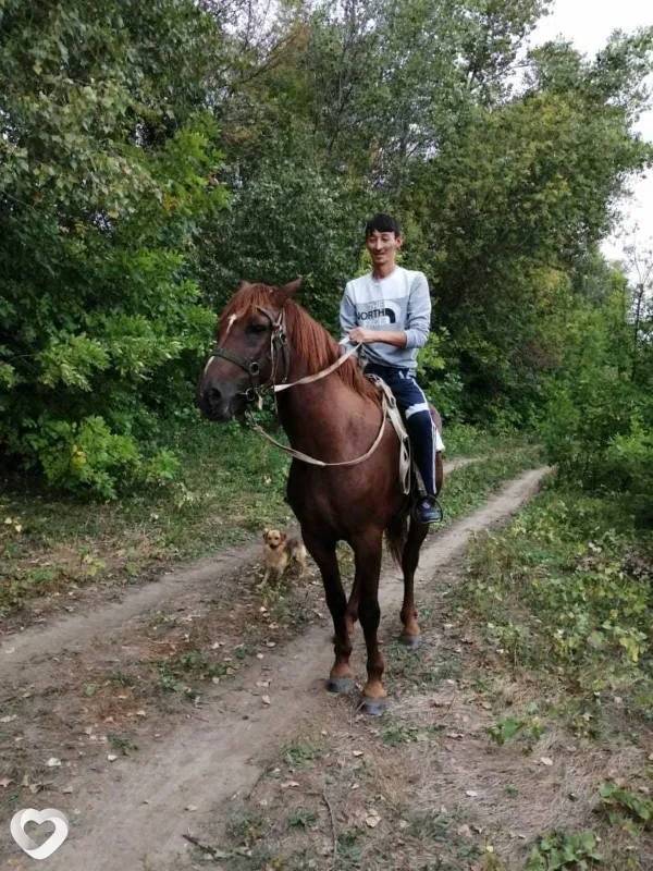 Батыр, 39, Волгограде — анкета №10409