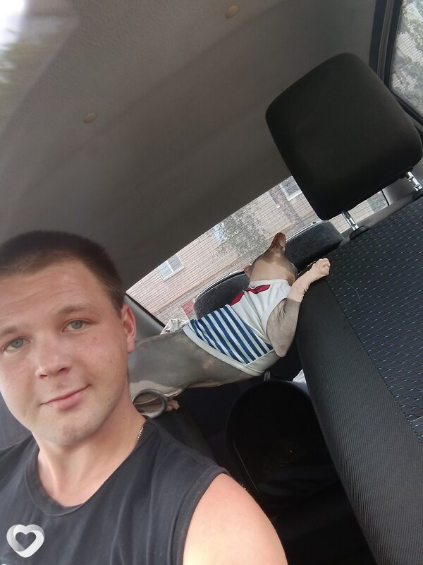 Анатолий, 27, Йошкар-Оле — анкета №805536