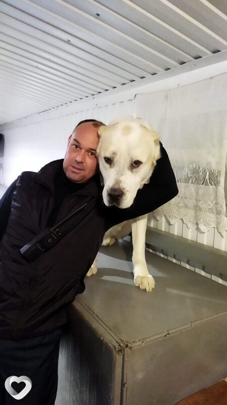 Александр, 42, Казани — анкета №806618