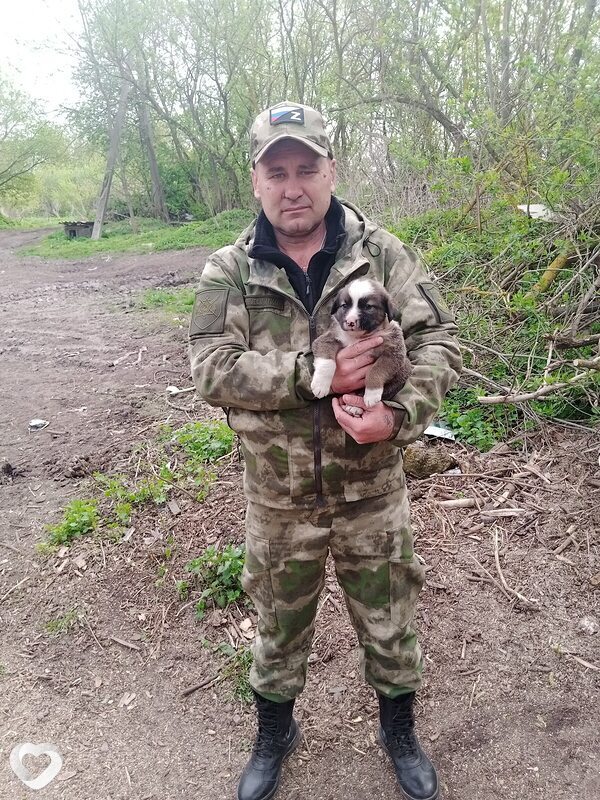 Владимир, 49, Льгове — анкета №808844