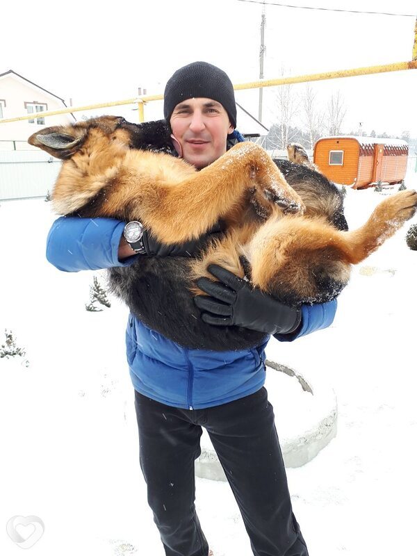 Алекс, 43, Самаре — анкета №809545