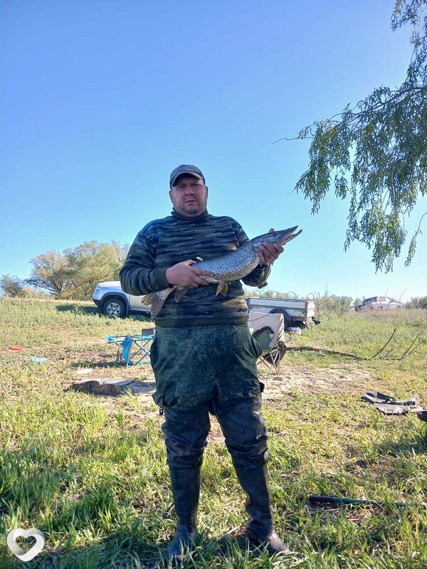 Роман, 44, Волгограде — анкета №811734