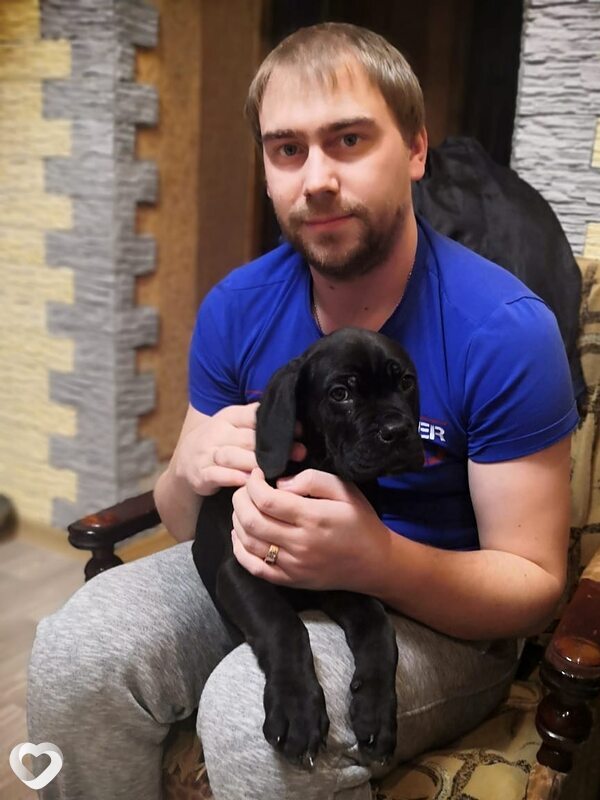 Андрей, 35, Нижнем Новгороде — анкета №812113