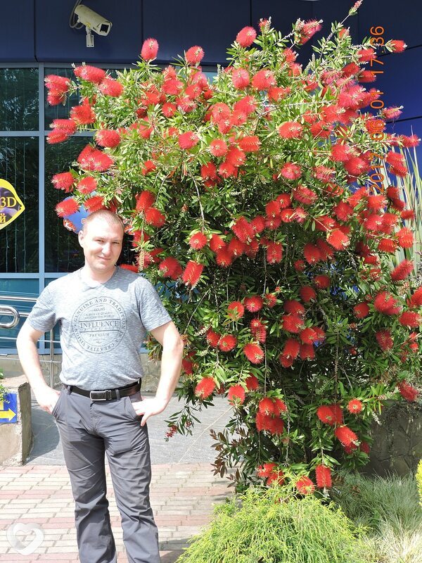 Денис, 40, Кургане — анкета №816826