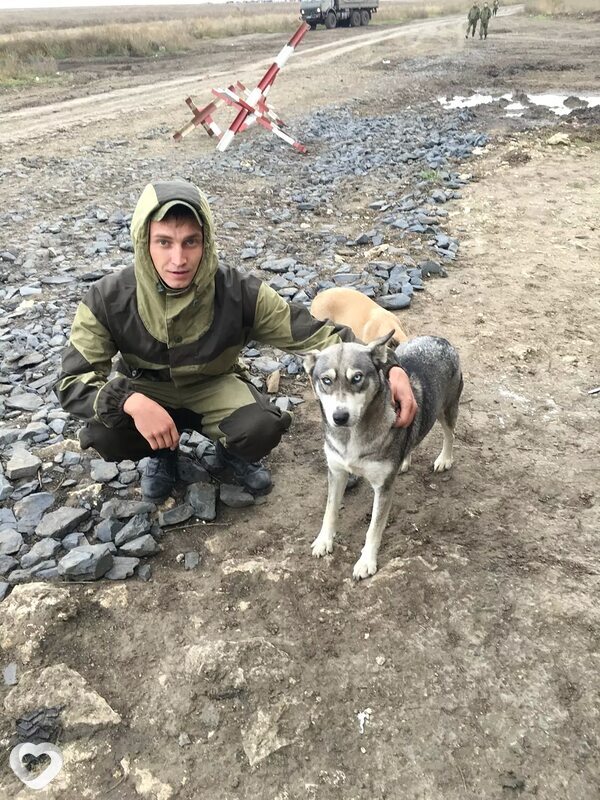 Никита, 36, Старом Осколе — анкета №820843