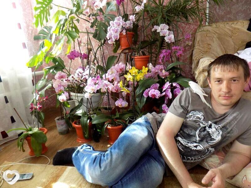 Александр, 41, Орёл — анкета №821972