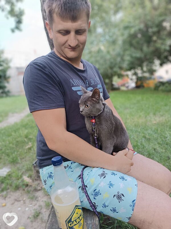 Толя, Покровское