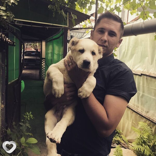 Александр, 34, Новороссийске — анкета №825331