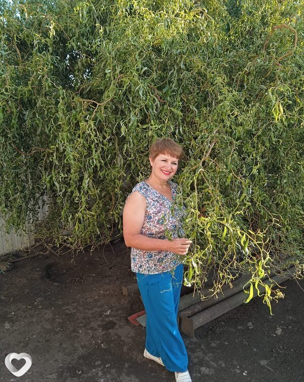 Нина, Льгов