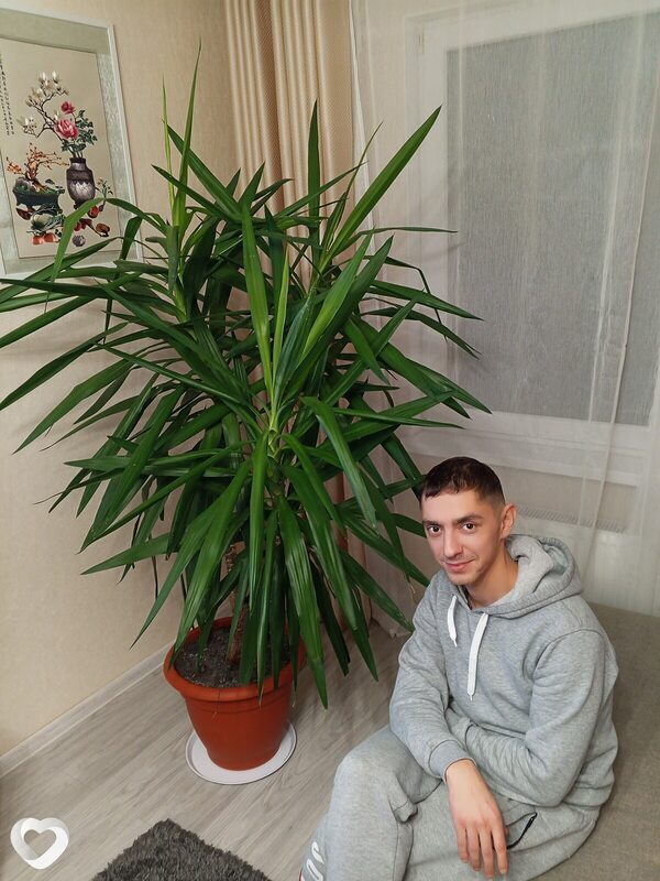 Андрей, 36, Калининграде — анкета №828283
