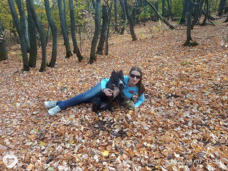 Наталья, 40, Саратове — анкета №834469