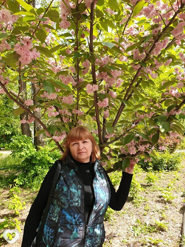Антонина, 66, Одессе — анкета №835468