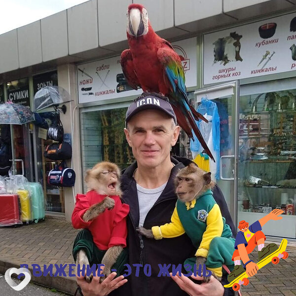 Алексей, Краснодар
